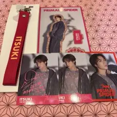 ラスト❶ 藤原樹　アクリルスタンド　マルチストラップ　フォトカード　シークレット