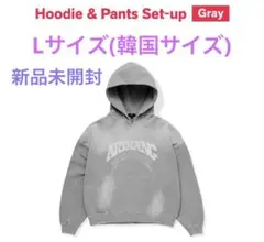 Lサイズ BTS ARIRANG セットアップ フーディー トレーナー - メルカリ