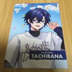 STPR Family オリジナルランダムブロマイドすにすて たちばな 2L判