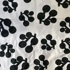 Item thumbnail for item b67b21de-dfca-42e4-b09c-f0b7acedfd5e