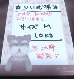 らいむ様　専用ページです。のサムネイル