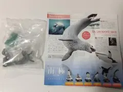ネイチャーテクニカラー　南極　特装版　ヒョウアザラシ＆ジェンツーペンギン