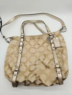 Item thumbnail for item 5b5ebc90-01a2-428b-897f-897e9d627f62