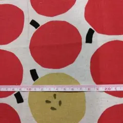 コットンこばやし　う早この布　リンゴ　北欧風　綿麻キャンバス