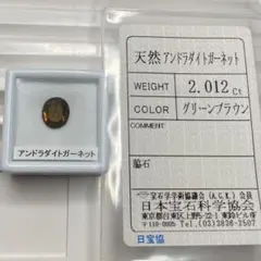【少し訳あり/ソ付き】アンドラダイトガーネット　ルース　2.012ct