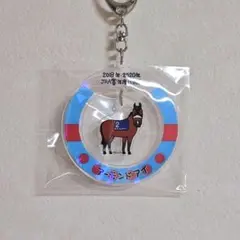 【非売品】アーモンドアイ アクリルキーホルダー【シークレット】