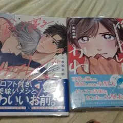 商業 BL 新刊 含 組み換え可能　二本松先生セット