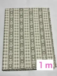 Item thumbnail for item d74081d1-9ff3-4f23-9e88-4afaf8868b55