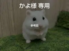 かよ様専用 羊毛フェルト ジャンガリアンハムスター スノーホワイト