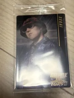 BOT ウエハース　世界