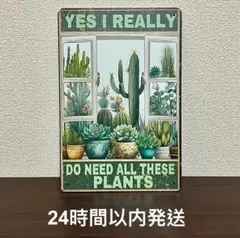 Item thumbnail for item ace69210-9278-42e3-868d-d45b0105a725