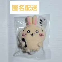 うさぎだらけくじ　ぬいぐるみバッジ(ほかッ...)