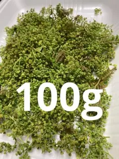 花山椒 秀品 奈良県吉野産 期間限定 冷蔵着払 600g 花山椒 【秀品 】奈良県吉野産 無農薬 期間限定 冷蔵着払 100g