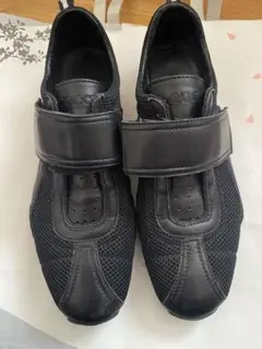 GUCCI✴︎スニーカー