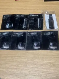 KANEBO  コスメデコルテ　アルビオン　スック　SHISEIDO エレガンス