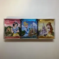 香港ディズニーランド プリンセス お菓子 空き缶 ケース