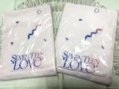 SEVENTEEN 2023 FANMEET マフラータオル セブチ