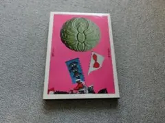 Item thumbnail for item 83f6ff19-c3ba-45a0-b6f9-9caef4c46d6e