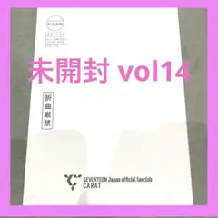 未開封 seventeen セブチ カラットマガジン Vol.14
