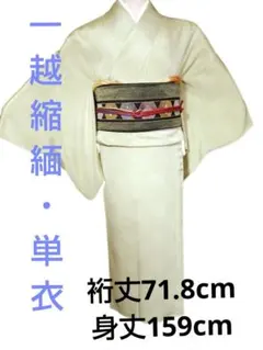 裄66cm 希少色【白】のはたおり娘 『結城紬』の名門【奥順】 新品