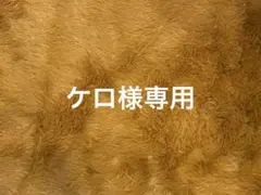 ケロ様リクエスト専用