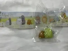 すみっコぐらし 天王寺動物園のいきものたち キーウィとぺんぎん？