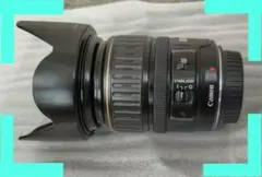 Item thumbnail for item 81b3bba2-ea56-4774-809d-7287d7279a0b