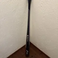 Item thumbnail for item 13b7e5e2-9256-4d04-88a1-c498cf7666a0