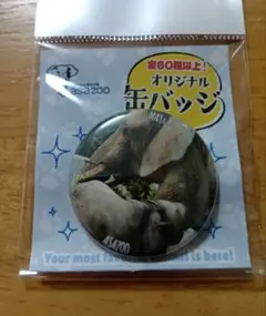 安佐動物公園 オリジナル缶バッジ マルミミゾウ メイ＆アオ 動物園　親子　新作