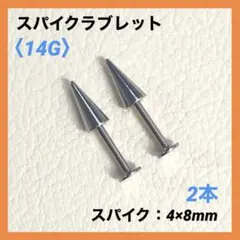 Item thumbnail for item c9560c41-f44c-4f6f-9af9-a00c8a9be501