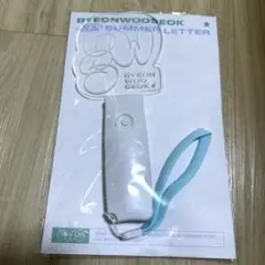 2026年最新】ビョンウソク ペンライトの人気アイテム - メルカリ