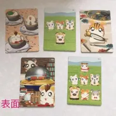 はむたろっとカード5 とっとこハム太郎　未開封60パック はむたろっとカード5 とっとこハム太郎 未開封60パック