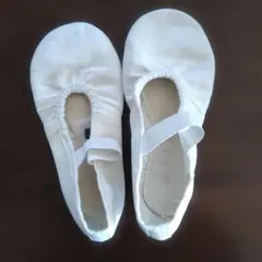 Item thumbnail for item b64a2d94-52b5-4598-a73f-b4b34e4c9619