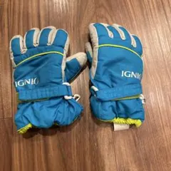 IGNIO スキーグローブ 青/緑