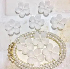 フロストフラワー　ぷっくり