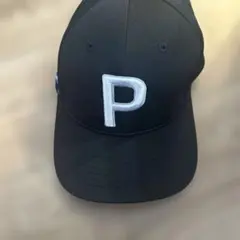 Item thumbnail for item cfa8cd6d-c8c0-443e-a212-480c7533d797