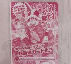 ワンピース 連載29周年突破記念 付録カード - メルカリ