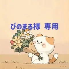 ぴのまる様　専用(5/30迄)