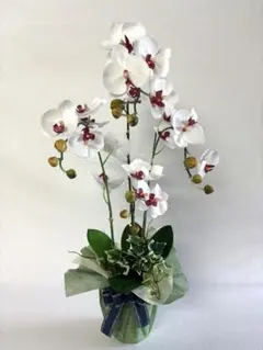 造花(アーティフィシャルフラワー)12立て胡蝶蘭寄せ植え鉢入り - メルカリ