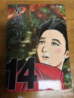 2026年最新】望郷太郎の人気アイテム - メルカリ