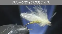 Item thumbnail for item 6f94f1d9-b812-45ad-9d77-68a5d8206f13