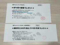 スタジオアリス イオンモール東浦店 撮影優待券 2枚セット