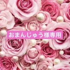 おまんじゅう様専用