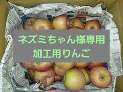 【ネズミちゃん様専用】加工用りんご