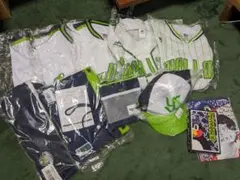 Item thumbnail for item c95b3d77-7cb5-423d-a20c-3dbc1e3a6a8d