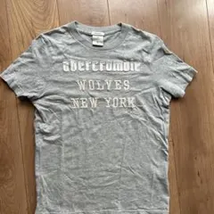 Abercrombie & Fitch アバクロ　Tシャツ Kids Lグレー