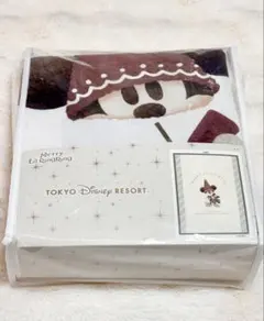 東京ディズニーリゾート　クリスマス リルリンリン　2025 毛布　ミッキー