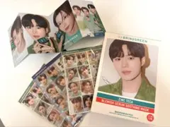 ALD1 BRINGGREEN オリヤン 韓国限定 ステッカー