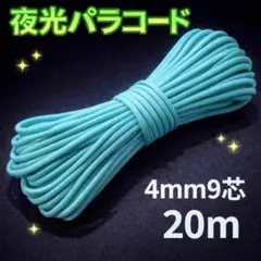 Item thumbnail for item 67d5f466-fef5-421c-91dd-8c68c12e8c70