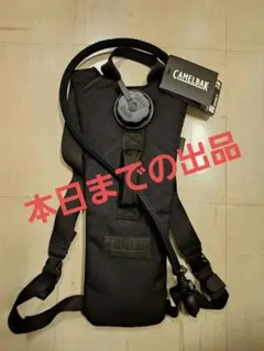 Item thumbnail for item e532a6f4-53bb-400c-af3d-7b6a8d9518cf